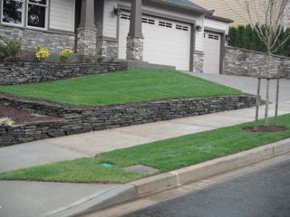 lawn